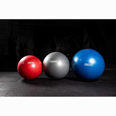 Купить Гимнастический мяч Yousteel Hard 55см в Павловске 